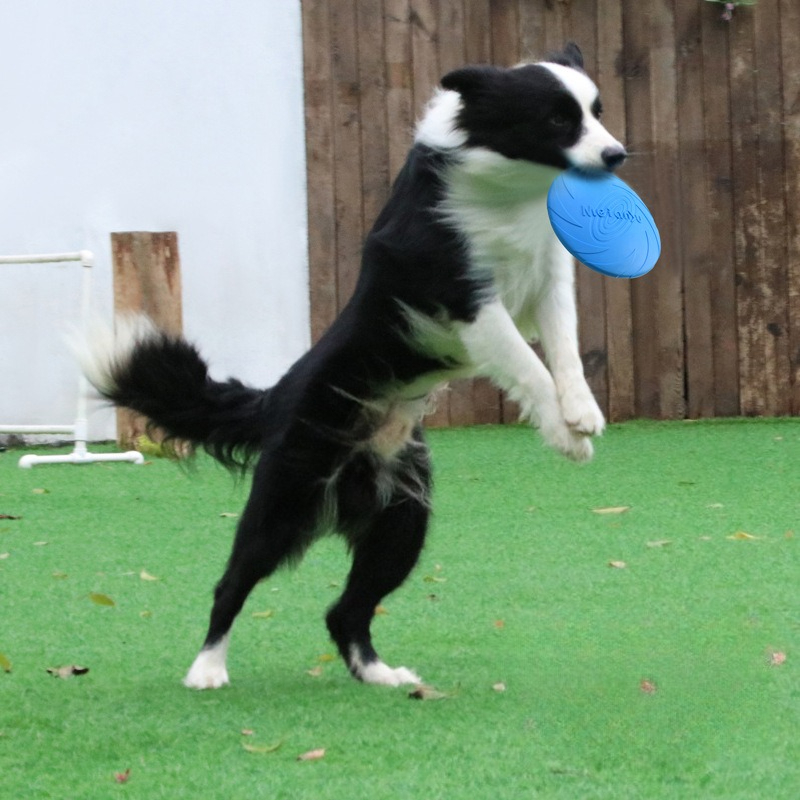 Frisbee Freestyle Disc - Frisbee pour chien, Frisbee spécial pour