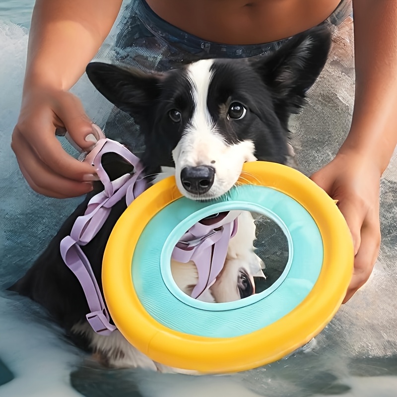 Frisbee Freestyle Disc - Frisbee flottant pour chien, jouet d'entraînement