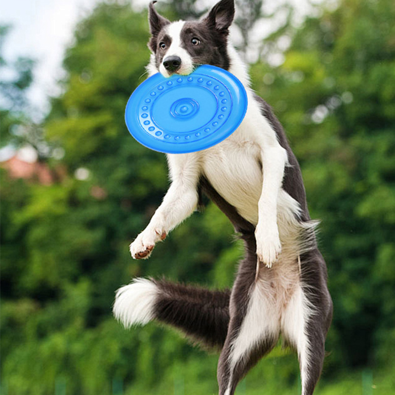 Frisbee Freestyle Disc - Frisbee durable et résistant aux morsures
