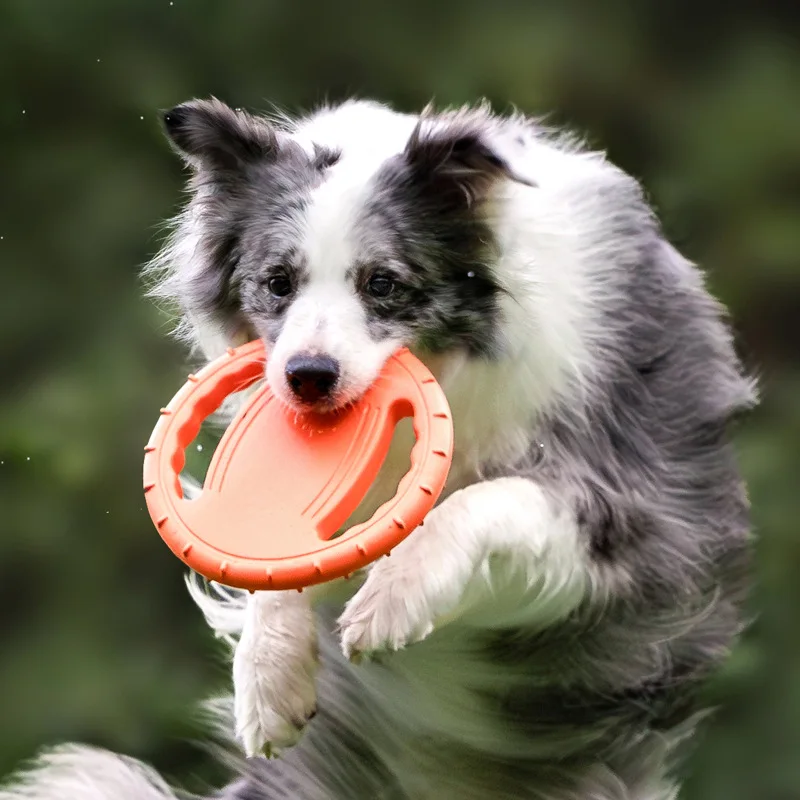 Frisbee Freestyle Disc - Frisbee durable pour chien, jouet de