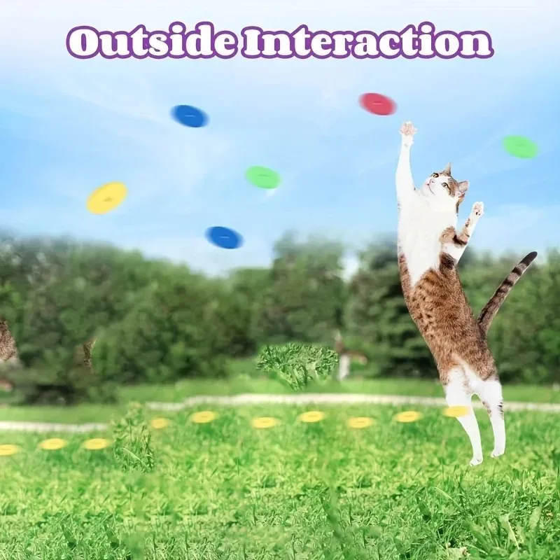 Jouets amusants pour chats, pi - Frisbee Freestyle Disc avis et prix