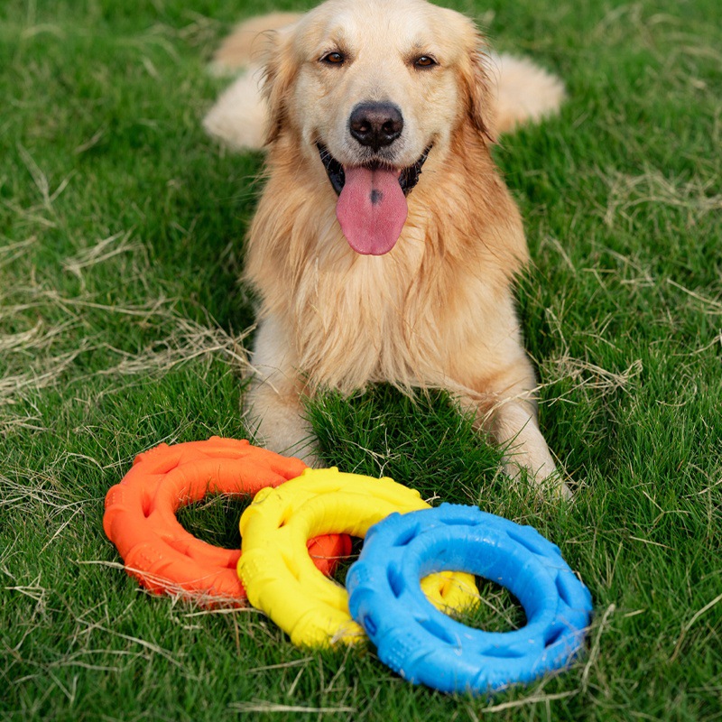 Jouet 3 en 1 pour chien : fris - Frisbee Freestyle Disc avis et prix