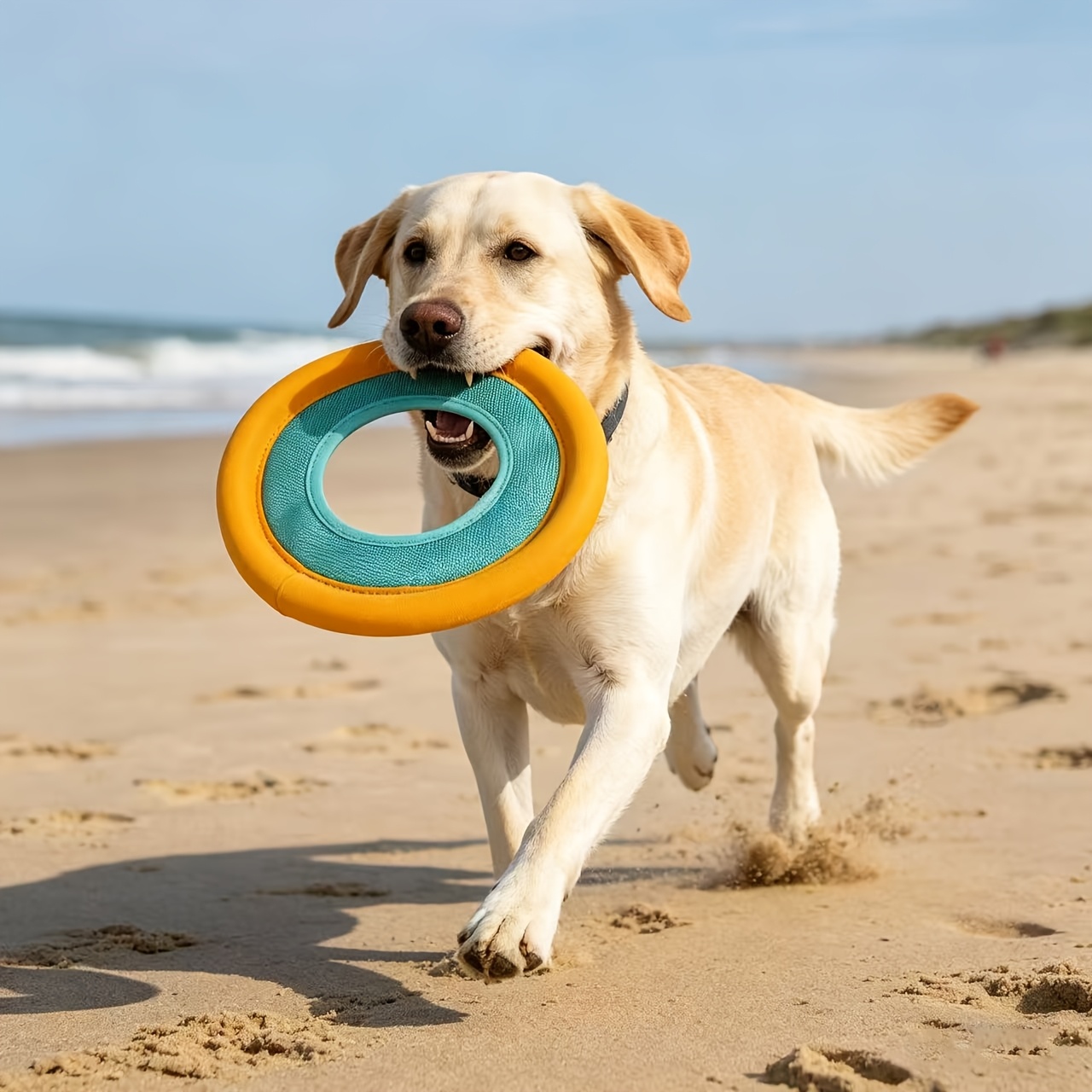 Frisbee flottant pour chien, j - Frisbee Freestyle Disc avis et prix