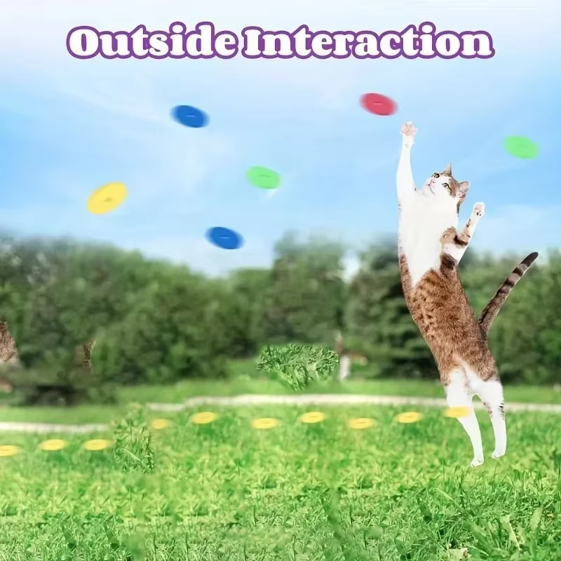 Jouets amusants pour chats, pi - Frisbee Freestyle Disc avis et prix