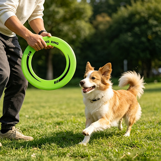 Frisbee à anneau creux durable - Frisbee Freestyle Disc avis et prix