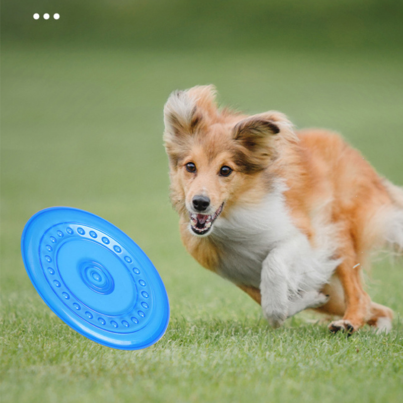 Frisbee durable et résistant a - Frisbee Freestyle Disc avis et prix