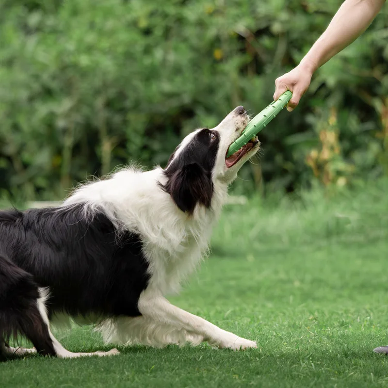 Frisbee durable pour chien, jo - Frisbee Freestyle Disc avis et prix